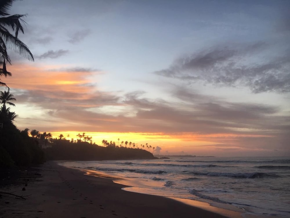 palm hill guest house