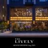 the lively osaka honmachi