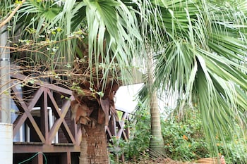 pension sea forest