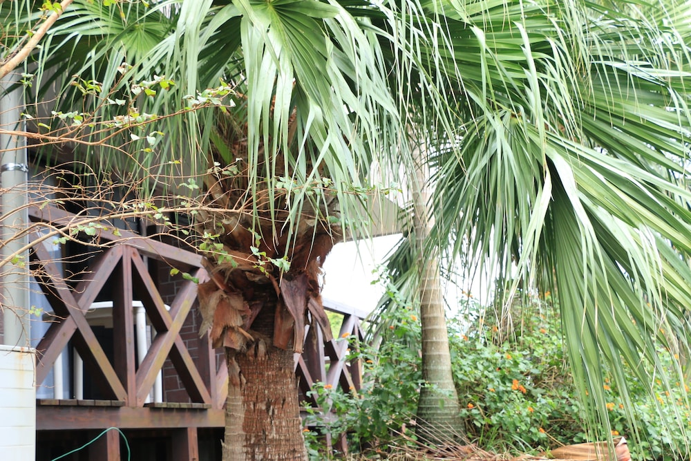 pension sea forest