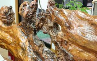pension sea forest