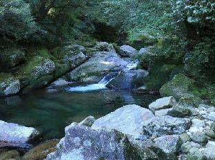 pension sea forest