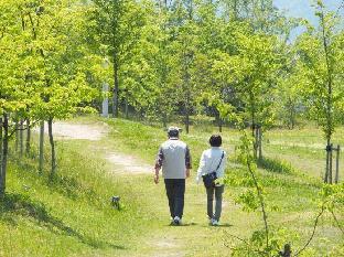 pension sea forest