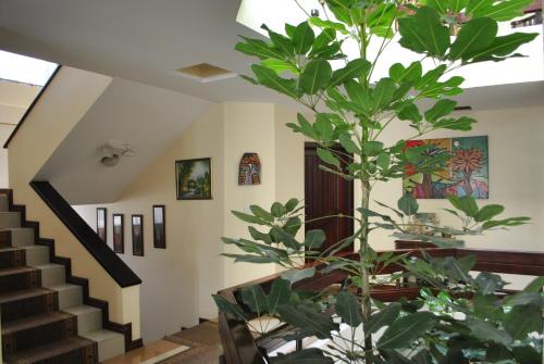 mak inn house