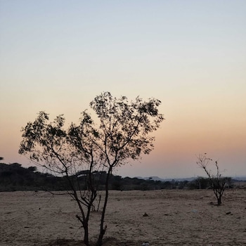 the glorious hills resort pushkar