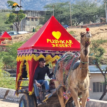 the glorious hills resort pushkar