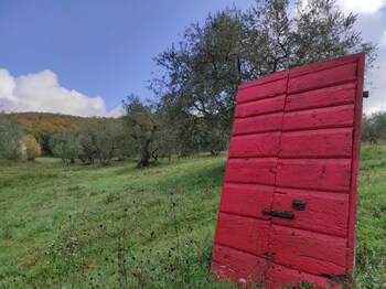 le roghete