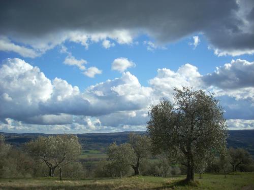 acquapendente