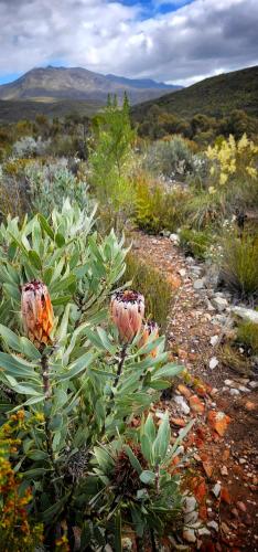 whipstock guest farm