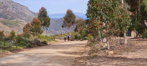 whipstock guest farm