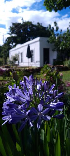 whipstock guest farm