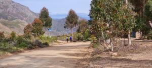 whipstock guest farm