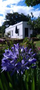 whipstock guest farm