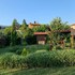 cortona