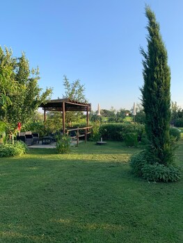 cortona