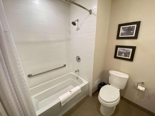 comfort inn and suites