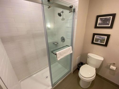 comfort inn and suites