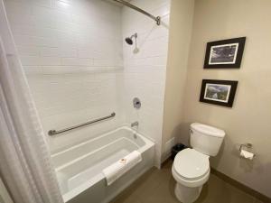 comfort inn and suites