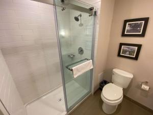 comfort inn and suites