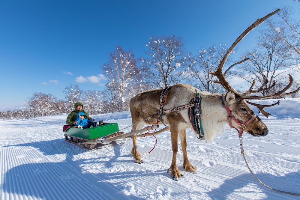 niseko