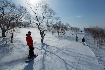 niseko