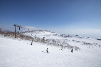 niseko