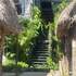 san carlos