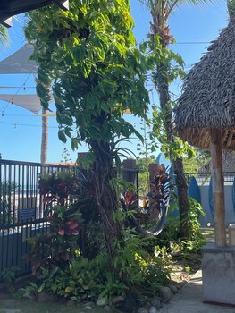 san carlos surf resort and eco lodge