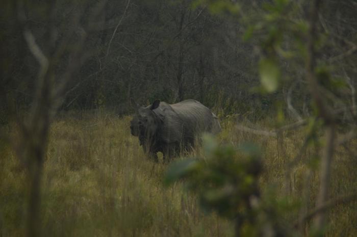 barauli community homestay