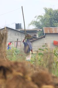 barauli community homestay