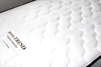 hotel trend okazaki eki mae