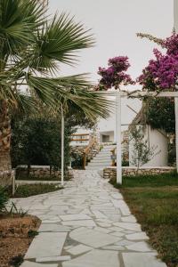 paros bay hotel
