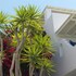 aloni hotel