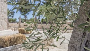 conversano