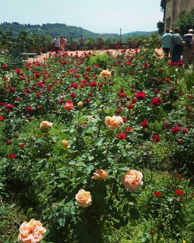 agriturismo la fattoria di capezzana
