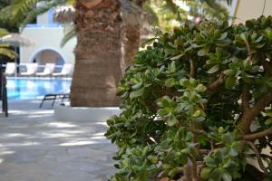 hotel zephyros
