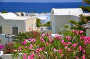 hotel zephyros