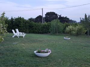 agriturismo terra dei profumi