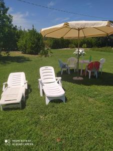 agriturismo terra dei profumi