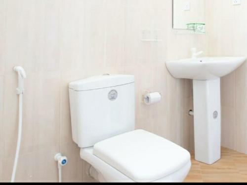 homely guest