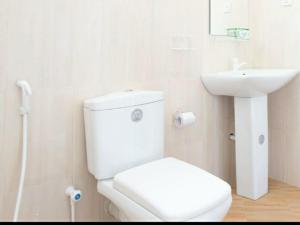 homely guest