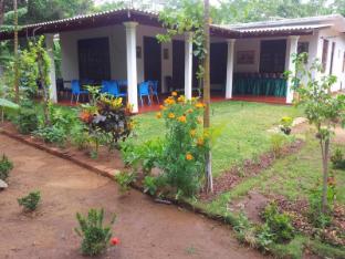 homely guest