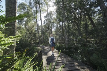 africamps at oakhurst glamping