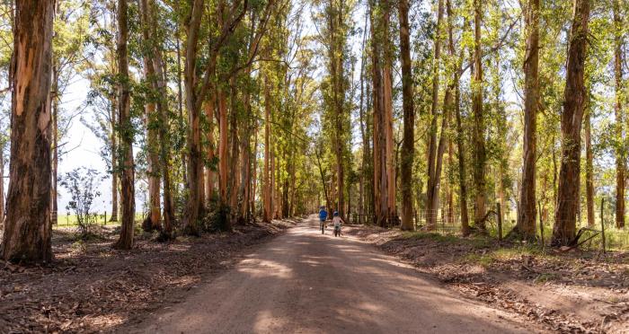 africamps at oakhurst glamping