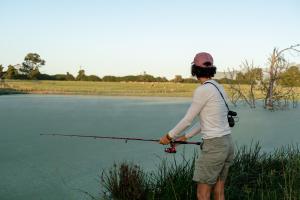 africamps at oakhurst glamping