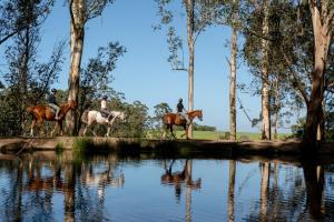 africamps at oakhurst glamping