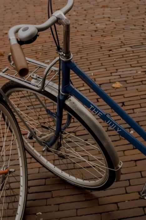 the july boat and co