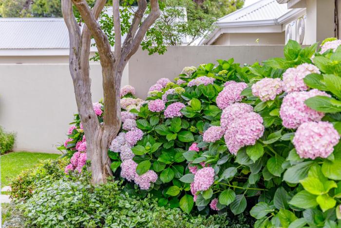 the ashford guesthouse