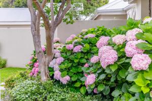 the ashford guesthouse