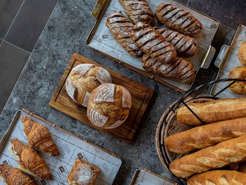 mitsui garden hotel jingugaien tokyo premier